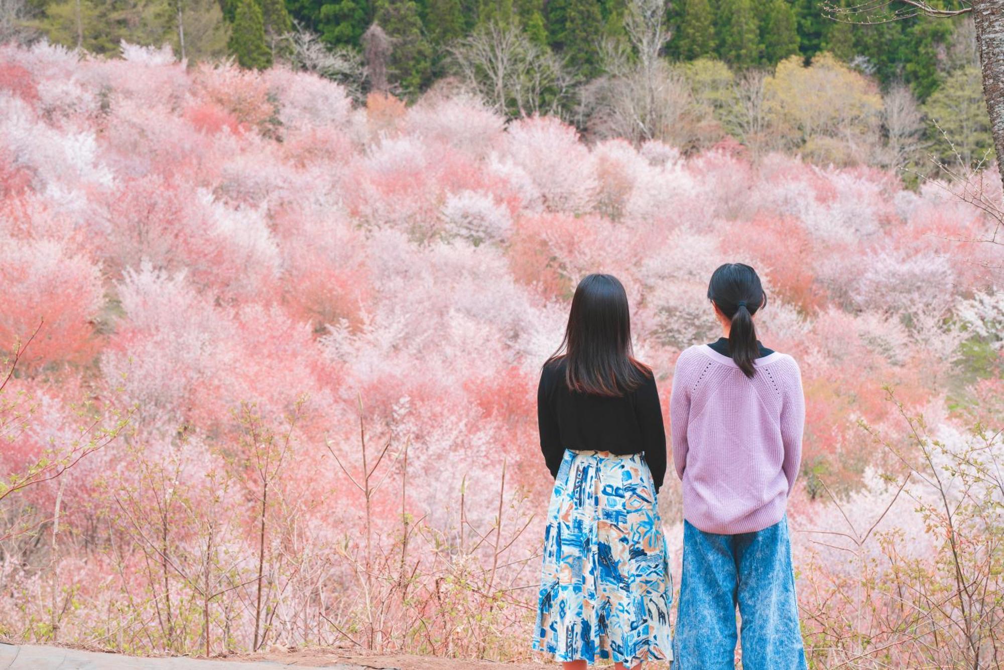 Urabandai Lake Resort Goshiki No Mori Kitashiobara Buitenkant foto