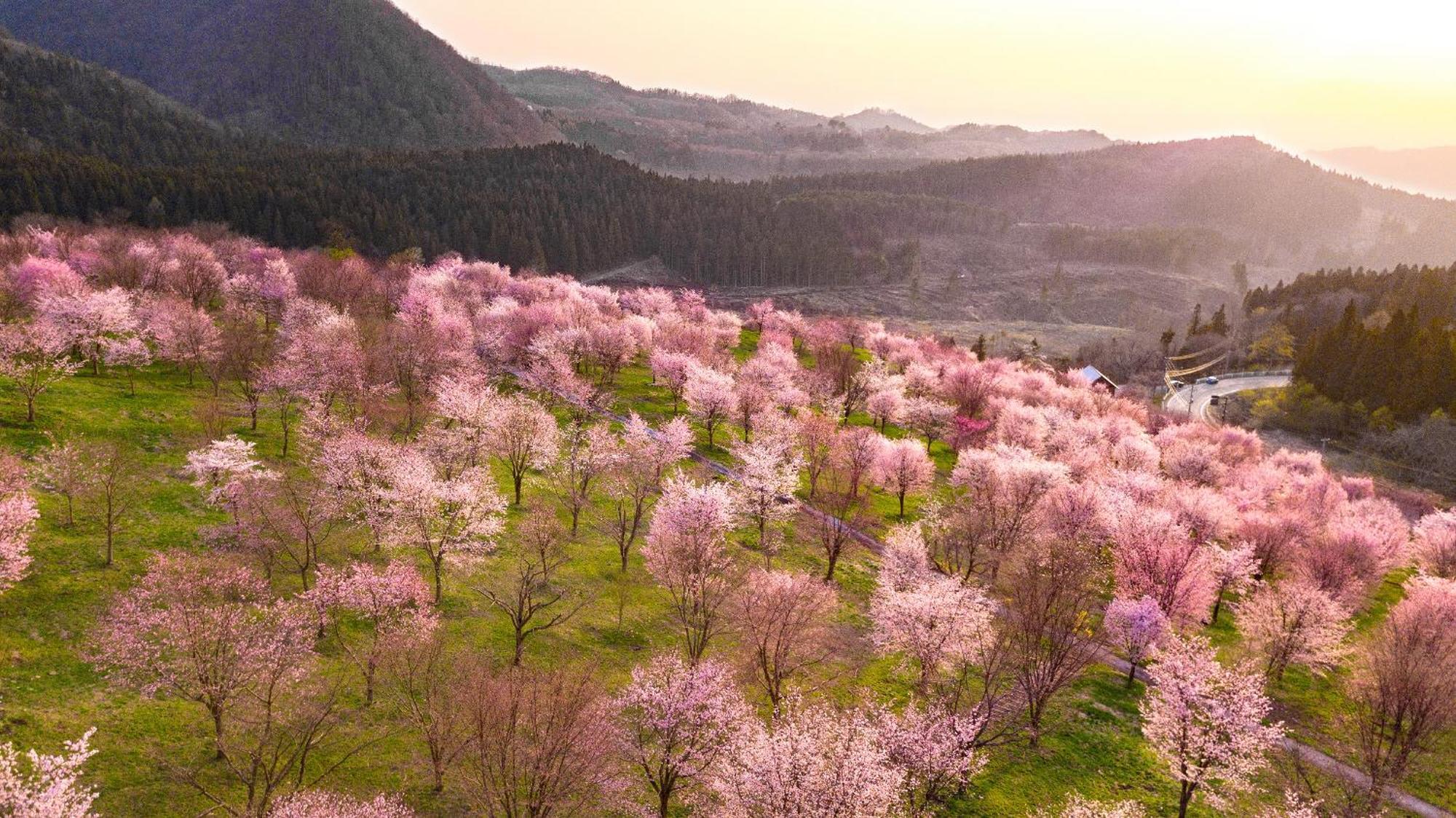 Urabandai Lake Resort Goshiki No Mori Kitashiobara Buitenkant foto