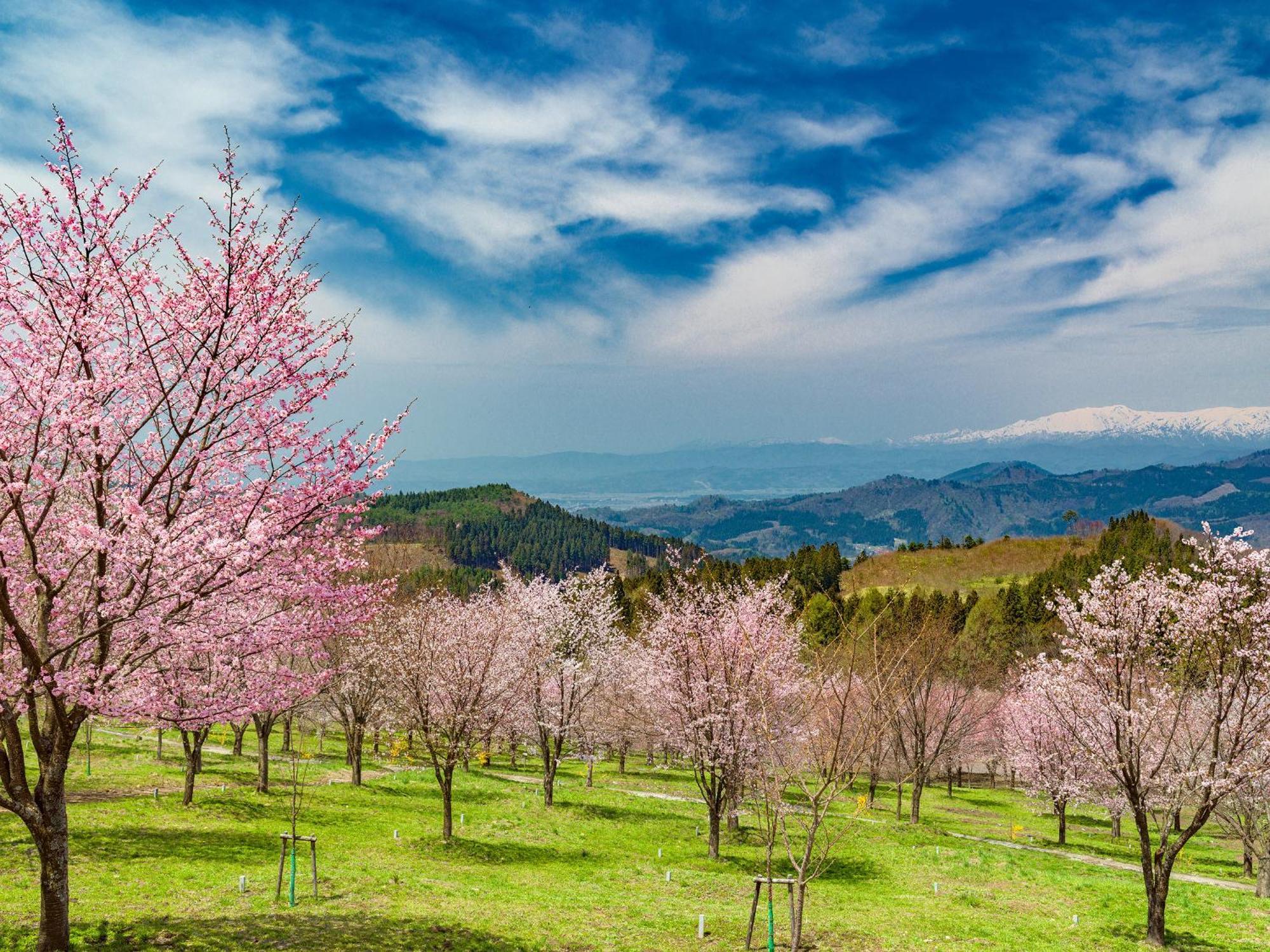 Urabandai Lake Resort Goshiki No Mori Kitashiobara Buitenkant foto